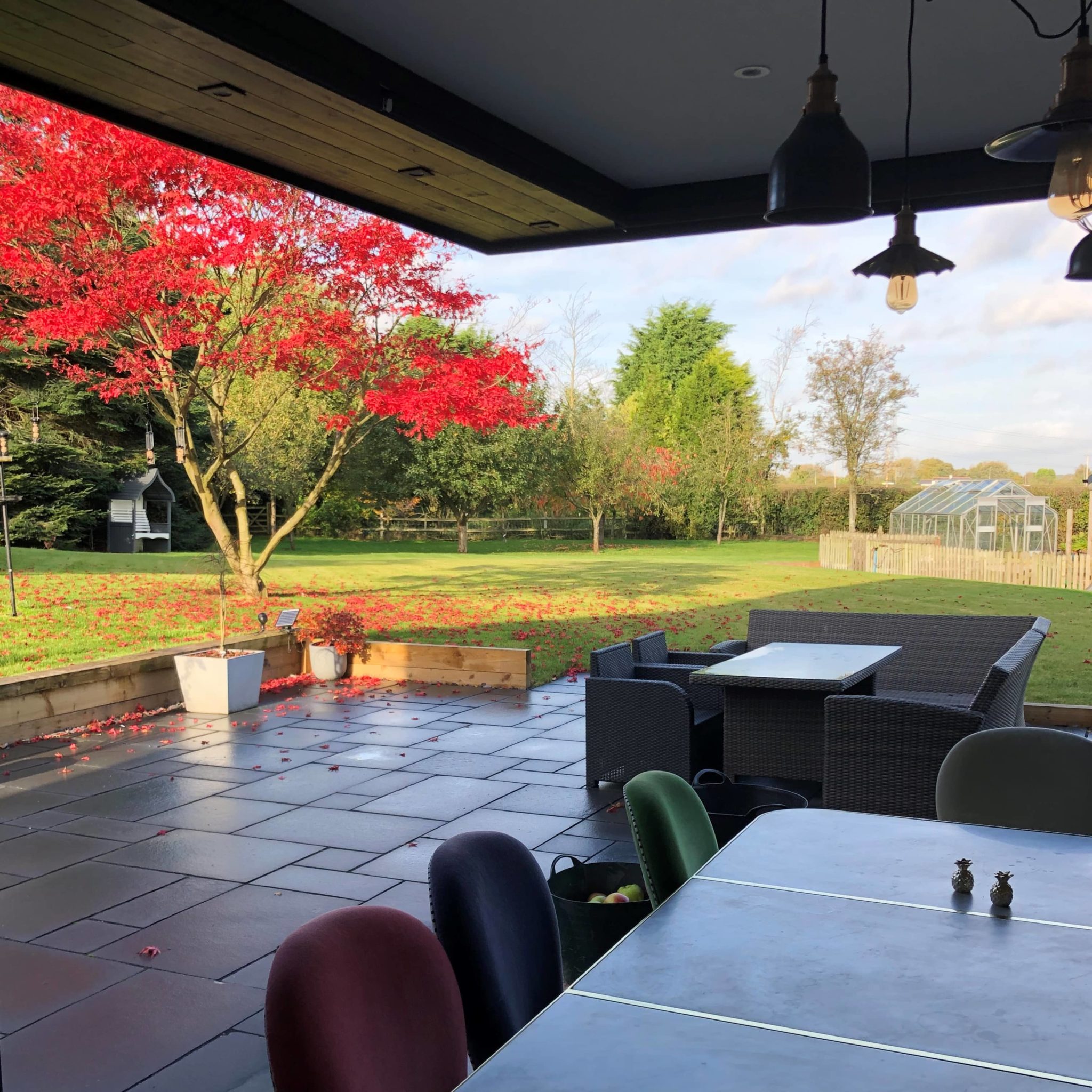 a patio with tables and chairs and a red tree.