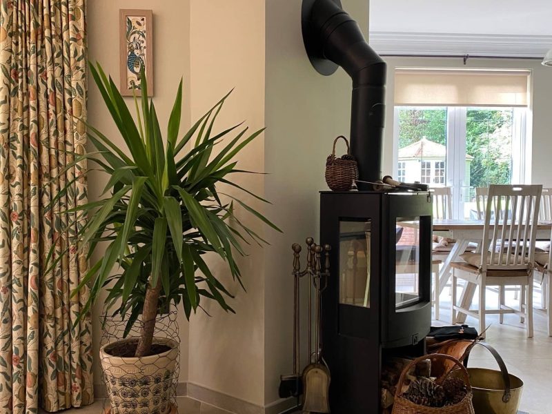 a living room with a potted plant next to a stove.